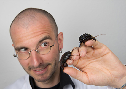 Dr. Mark Benecke - Insekten auf Leichen